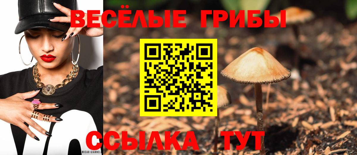Галлюциногенные грибы Psilocybe  Вход с VPN  где продают наркотики  Ржев 